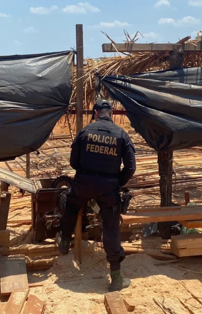 Polícia Federal localiza serraria operando ilegalmente dentro de Terra Indígena no Maranhão. (Foto: Divulgação/Polícia Federal)