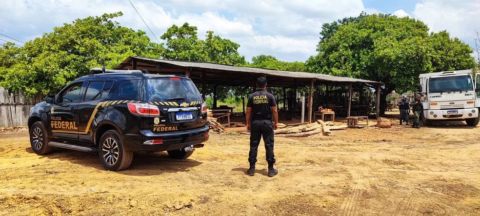 Madeireira foi alvo de fiscalização em operação da PF na Terra Indígena Arariboia, no Maranhão. (Foto: Divulgação/PF)