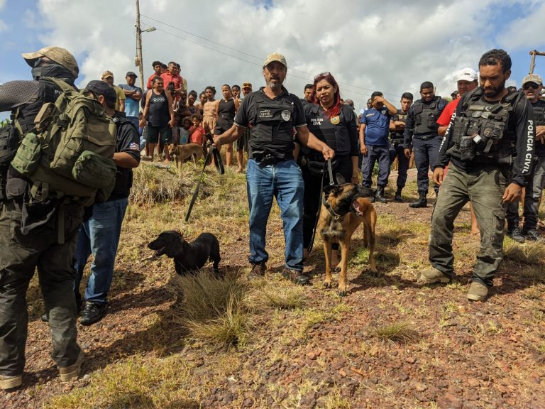 Policias civis em ação com seus cães. (Foto: Divulgação/PC-MA)